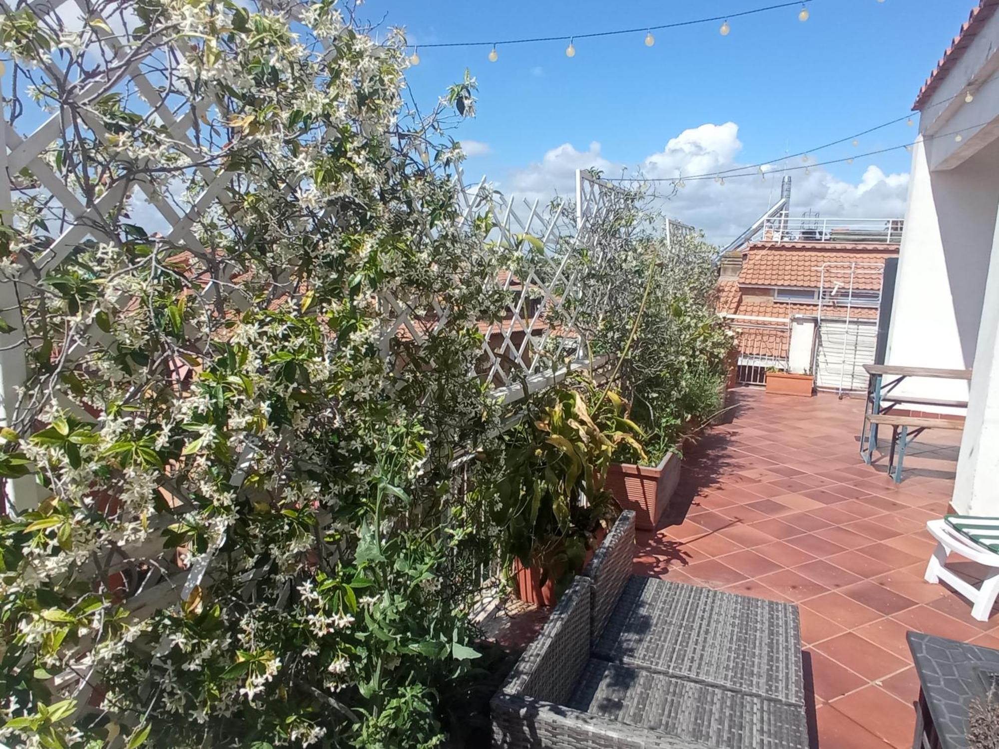 Rooftop Appia Antica,Silenzioso Riservato Two Bedrooms Two Bathrooms Roma Esterno foto